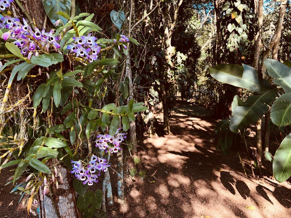 Chacara Quinta Dos Esquilos Villa โกเทีย ภายนอก รูปภาพ